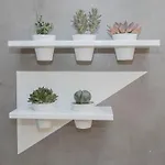 Liiiving In - Clerigos Terrace *
