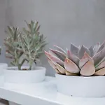 Liiiving In - Clerigos Terrace Διαμέρισμα