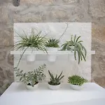 Liiiving In - Clerigos Terrace