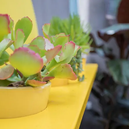 Liiiving In - Clerigos Terrace Апартаменты *