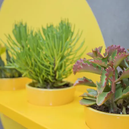 Liiiving In - Clerigos Terrace Порту