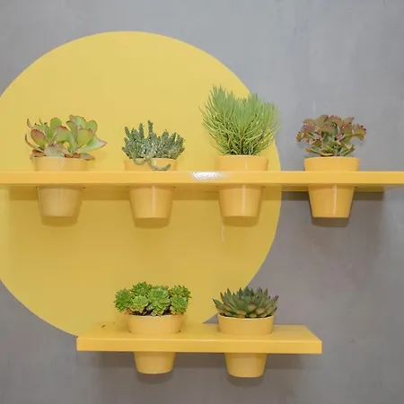 Liiiving In - Clérigos Terrace * Oporto