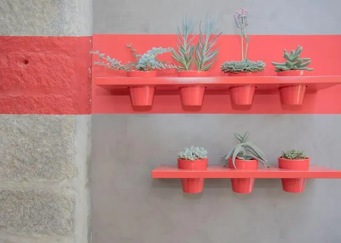 Liiiving In - Clerigos Terrace *