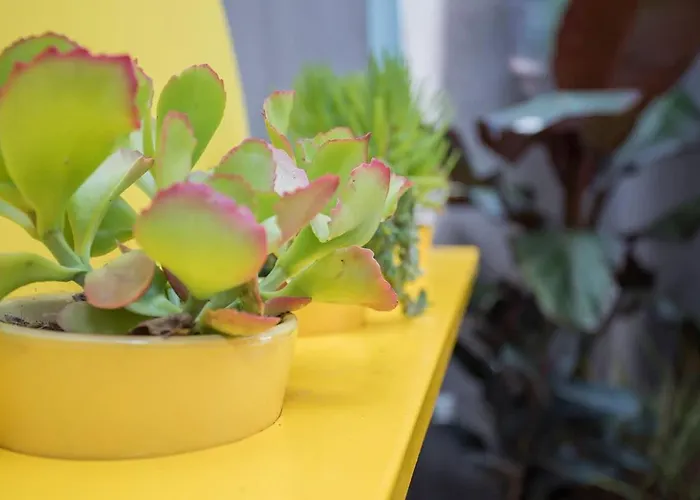 Liiiving In - Clerigos Terrace דירה *