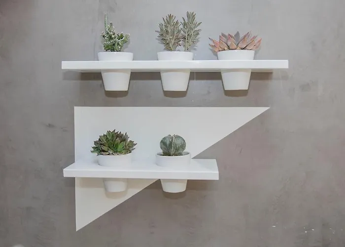 Liiiving In - Clerigos Terrace *