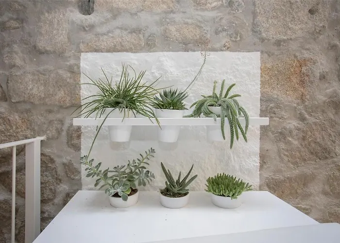 Liiiving In - Clerigos Terrace