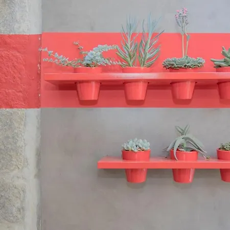 Liiiving In - Clerigos Terrace *