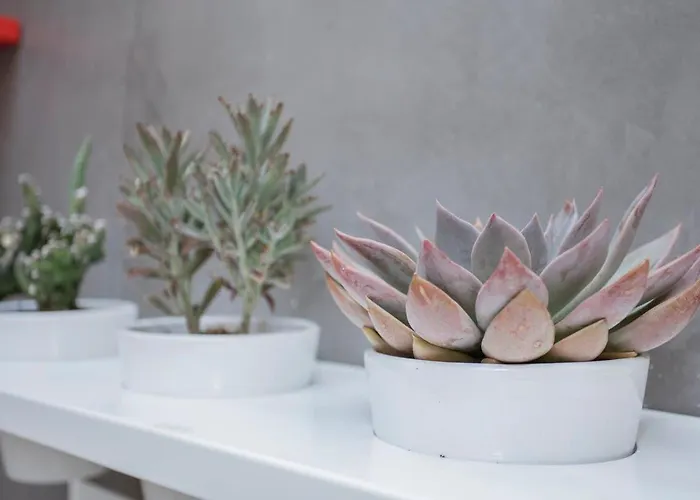 Liiiving In - Clerigos Terrace Lägenhet